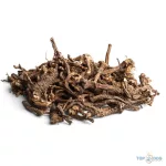 EnjoyNature Dandelion roots 100 g pitypang gyökér