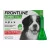 FRONTLINE Combo® Kutya 40+ (3 pipetta/dob)