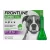 FRONTLINE Combo® Kutya 20-40 kg (3 pipetta/dob)