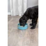Kék kerámia tál kutyáknak 0,9L /16cm TRX 25113