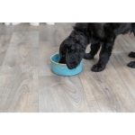 Kék kerámia tál kutyáknak 0,9L /16cm TRX 25113