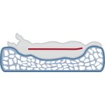 LOKI ORTOPÉD KUTYAÁGY 80*60CM SZÜRKE TRX 37932