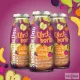 SmoothieDog - gyümölcsös turmix kutyáknak 250ml