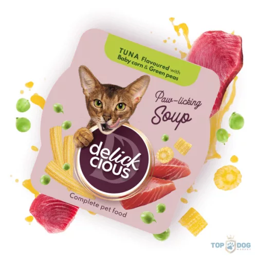 Delickcious Soup 80g Tonhal Kukorica