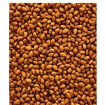 Versele-Laga Nutribird G14 Original Pellet 1kg
