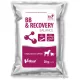 BB & Recovery Balance po 20gr 1 tasak
