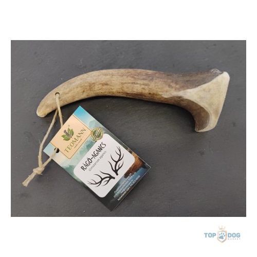 Teomann Gímszarvas agancs darabok M méret 80-120gr