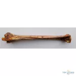 Teomann szárított strucc lábszárcsont 1db kb.50-60cm