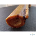 Teomann szárított strucc lábszárcsont 1db kb.50-60cm