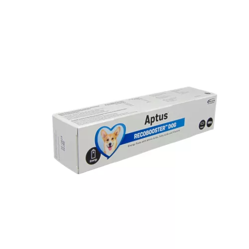 Aptus Recobooster lábadozást segítő energia paszta kutyáknak 60gr