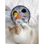 Hide & Seek Wobble Pond macskajáték