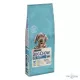 Dog Chow Puppy Large Pulyka 14kg 