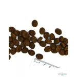 Monge VetSolution Dog 12kg Dermatosis bőrgyulladás