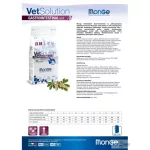 Monge VetSolution Dog 12kg Gastrointestinal