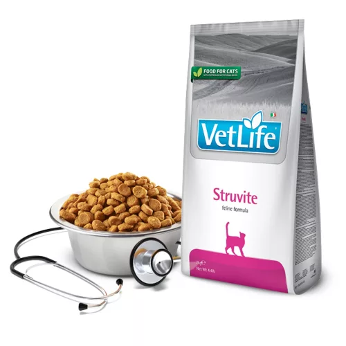 Vet Life Cat Struvite 400gr (struvitkövek, alsó húgyúti megbetegedések)