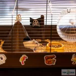 Ferplast Criceti 9 Pirates hörcsög ketrec 46x30x22,5cm