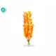 JK-Orange Ludwigia 18-21cm 18336