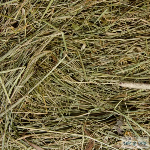 JK natur széna rágcsálóknak 2kg 34022