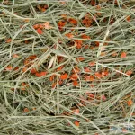 JK natur széna répával kisállatoknak 2kg 34025