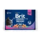 Brit Premium Cat Pouches Fish Plate 4x100 g