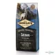 Carnilove Adult Salmon- Lazac Hússal 12kg