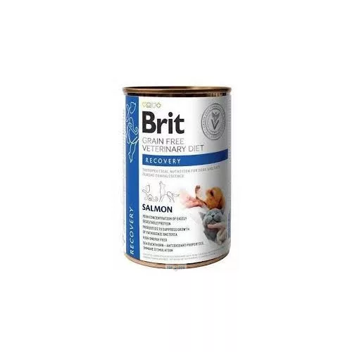 Brit GF VD Dog / Cat 400gr Recovery lábadozás