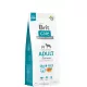 Brit Care - Grain-free Adult Salmon & Potato 12 kg