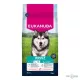 Eukanuba Adult Large Salmon & Barley 12kg