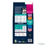 Eukanuba Adult Large Salmon & Barley 12kg