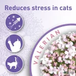 Beaphar Calming nyugtató nyakörv macska