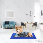 Hűtőmatrac / hűsítő 50*60cm