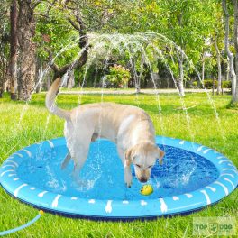 Medence kutyáknak szökőkúttal L 1.7m