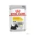 Royal Canin Dog 12*85gr Dermacomfort (Bőrirritációra és viszketésre hajlamos kutyáknak)