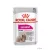 Royal Canin Dog 12*85gr Exigent válogatós kutyáknak