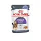 Royal Canin 12*85gr Appetite Control Care ivartalanított macskáknak, segít csökkenteni a kéregetést