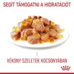 Royal Canin 12*85gr Appetite Control Care ivartalanított macskáknak, segít csökkenteni a kéregetést
