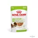 Royal Canin 12*85gr X-small Adult Nedves eledel kistestű kutyáknak