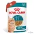Royal Canin Cat Ageing 11+ szószban 11 év feletti 12*85gr  (11év feletti macskáknak)