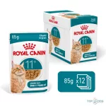 Royal Canin Cat Ageing 11+ szószban 11 év feletti 12*85gr  (11év feletti macskáknak)