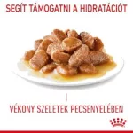 Royal Canin Digestive Care 12*85gr (EMÉSZTŐRENDSZERI ÉRZÉKENYSÉGRE)