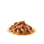 Royal Canin Sterilised Gravy 12*85gr  ivartalantott macskáknak