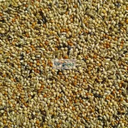 Top Pinty magkeverék 1kg 