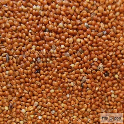 Vörösköles 1kg 