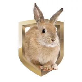  Nyúl