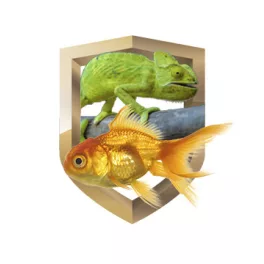 Akvarisztika