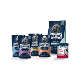 CARE PLUS