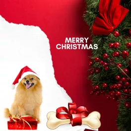 Karácsonyi Jutalomfalat / Adventi naptár