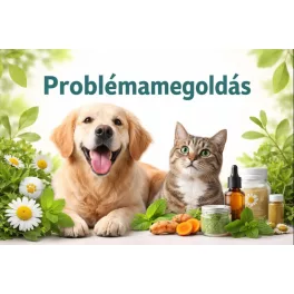 Egészségügyi problémák