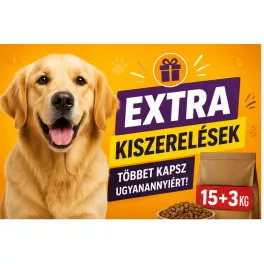 Kutya 