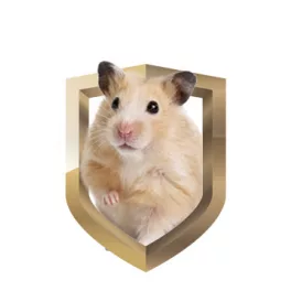  Rágcsálók